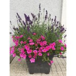Plastia Bergamot Samozavlažovací Květináč antracit 50 x 50 x 36 cm – Sleviste.cz