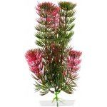JK rostlina Red Anacharis 18-21 cm – Zboží Mobilmania
