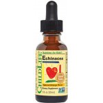 ChildLife Essentials Echinacea pro děti přírodní pomeranč kapky 30 ml – Hledejceny.cz