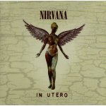 Nirvana - In Utero -20th Anniversar CD – Zboží Dáma