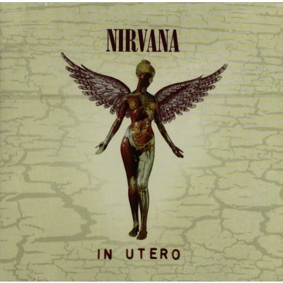 Nirvana - In Utero -20th Anniversar CD – Zboží Dáma