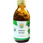 Salvia Paradise Ginkgo biloba 120 kapslí – Hledejceny.cz