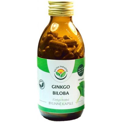 Salvia Paradise Ginkgo biloba 120 kapslí – Hledejceny.cz