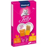 Vitakraft Jelly Lovers kuře a krůta 6 x 15 g – Hledejceny.cz