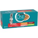 Purina ONE STERILCAT Mini filetky s kuřetem krůtou hovězím lososem se zeleninou 40 x 85 g