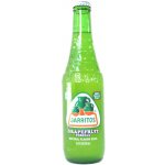 Jarritos Grapefruit limo 370 ml – Zboží Dáma
