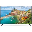 Televize LG 55LH545V