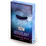 Jsem odhodlaný – Hledejceny.cz