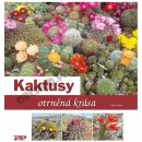 Kaktusy - otrněná krása