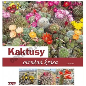 Kaktusy - otrněná krása