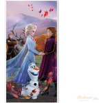 JERRY FABRICS Osuška Ledové Království 2 Wind 70x140 cm – Zboží Dáma