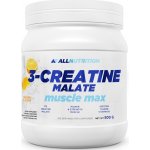 AllNutrition 3 Creatine Malate 500 g – Hledejceny.cz