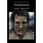 Frankenstein - Mary Wollstonecraft Shelley – Hledejceny.cz