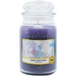 Yankee Candle Sweet Nothings 623 g – Zbozi.Blesk.cz