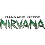 Nirvana Lithium OG Kush semena neobsahují THC 5 ks – Zboží Dáma