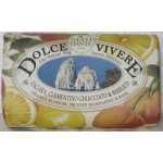 Nesti Dante Dolce Vivere mýdlo Capri 250 g – Zbozi.Blesk.cz