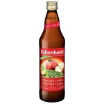 Rabenhorst Bio Koktejl ze zelené pšeničné trávy 0,75 l – Hledejceny.cz