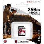 Kingston SDHC UHS-II 256 GB SDR2/256GB – Sleviste.cz