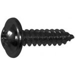 DIN 968C 4.8x25 kříž. drážka PH, šroub do plechu s límcem, pozinkovaný černý (500 ks) – Hledejceny.cz