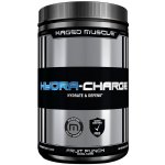 KAGED MUSCLE HYDRA-CHARGE 282 g – Zboží Mobilmania