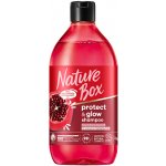 Nature Box šampon Pomegranate Oil 385 ml – Hledejceny.cz