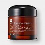 MIZON ALL IN ONE SNAIL REPAIR CREAM 75 ml – Hledejceny.cz