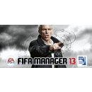 FIFA Manager 13