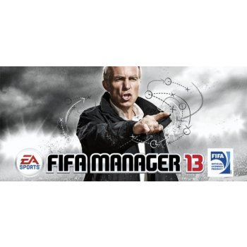 FIFA Manager 13