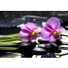 Tapety WEBLUX 32225654 Samolepka fólie Oriental spa with orchid with and green plant on zen stones Orientální lázně s orchidejem a zelenou rostlinou na zenových kamenech rozměry 145 x 100 cm