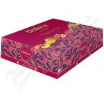 BIOGENA Traditional maxi 60 x 2 g – Hledejceny.cz