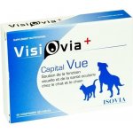 San Bernard Isovia Visiovia 30 tablet (zdravé oči psů a koček) – Hledejceny.cz