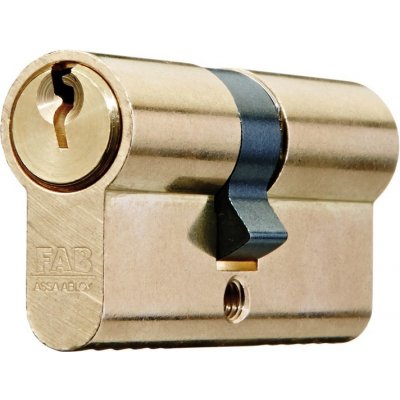 Assa Abloy FAB 200RSD 29/35 mm – Hledejceny.cz