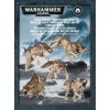 Desková hra GW Warhammer 40.000 Space Wolves Fenrisian Wolf Pack