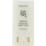 Beauty Of Joseon Matte Sun Stick Mugwort + Camelia opalovací krém v tyčince SPF50+ 18 g – Sleviste.cz