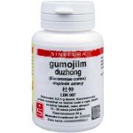Sinecura Gumojilm duzhong prášek 20 g – Hledejceny.cz