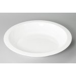 PETRA Plast Plastový talíř s okrajem průměr 24 cm – Zboží Mobilmania