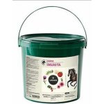 Leros Imunita Horse 1,5 kg – Zboží Dáma