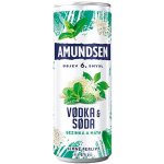 Amun.vod.&soda bez+máta 6% plech 12% 0,25 l (holá láhev) – Zboží Dáma