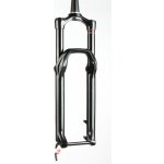 RockShox Lyrik Select Charger RC – Zboží Dáma