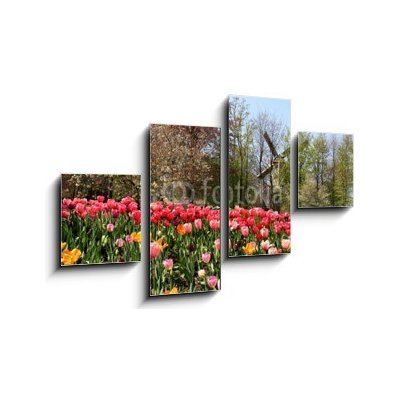 Obraz 4D čtyřdílný - 100 x 60 cm - Holland windmills and tulips Holland větrné mlýny a tulipány – Zboží Mobilmania