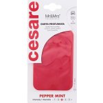 Mr&Mrs Fragrance Cesare Scented Cards Peppermint – Hledejceny.cz