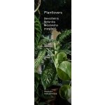 Plantlovers. Neviditelná botanika městského prostředí - Antih Střelcová Alexandra – Hledejceny.cz