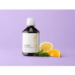 Zinzino BalanceOil+ 300 ml pomeranč citron máta – Hledejceny.cz