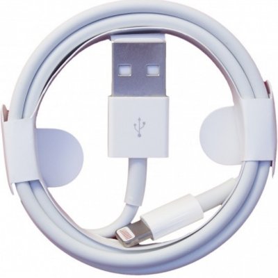 Apple MD818/ZM/A Lightning iPod, Apple, 1m – Zbozi.Blesk.cz