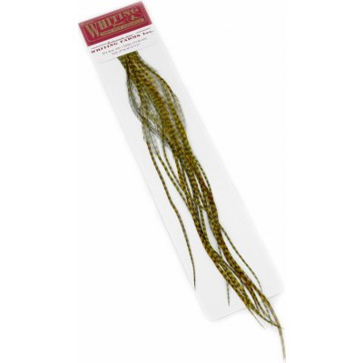 Whiting Hackles Whiting Kohoutí Peří 100 Pk Grizzly Dyed Golden Olive #18 – Hledejceny.cz