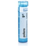 POLLENS POR 9CH GRA 1X4G – Hledejceny.cz