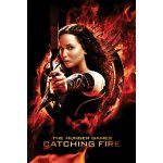 Europosters Plakát, Obraz - The Hunger Games Catching Fire (2013), 26.7 × 40 cm – Hledejceny.cz