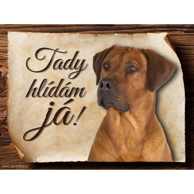 Sport hobby Cedulka Rhodéský ridgeback II Tady hlídám já 15 x 11 cm – Zbozi.Blesk.cz