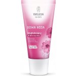 Weleda Divoká růže a bílý čaj rozjasňující noční krém 40 ml – Zboží Mobilmania