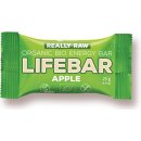 Energetická tyčinka Lifefood Lifebar RAW BIO 25 g